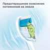 Uploaded image